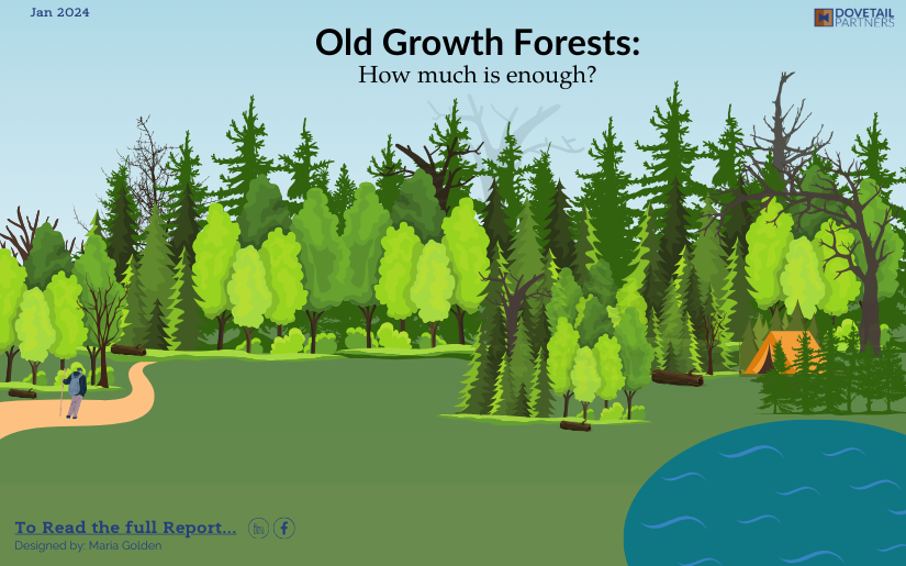 Old Growth Forests: How much is enough? - Key Takeaways